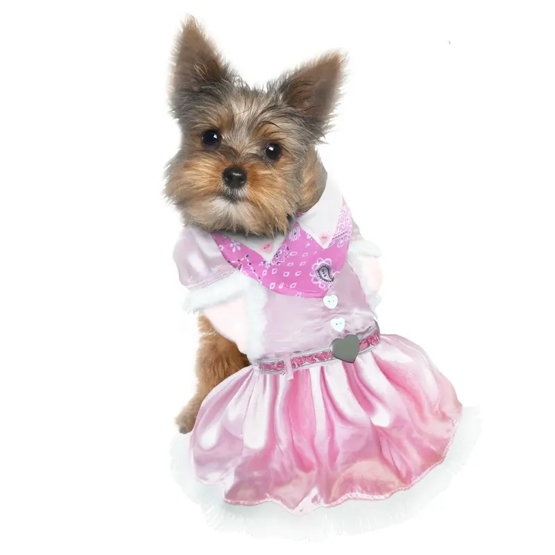 Puppe Love Cowgirl Dog Costume