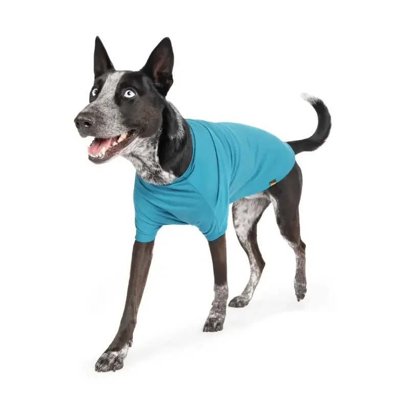 Gold Paw Merino Crew Dog Shirt - Lagoon Blue