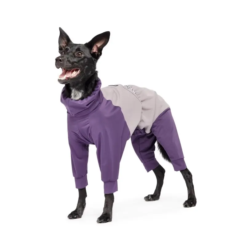 Gold Paw Ski Suit Dog Jumpsuit - Huckleberry / Silver