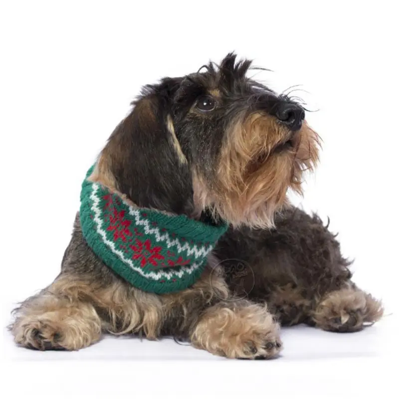 Alqo Wasi Snowflake Alpaca Infinity Dog Scarf - Green