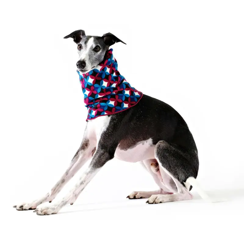 Gold Paw Dog Snood - Garnet/Winter Mod