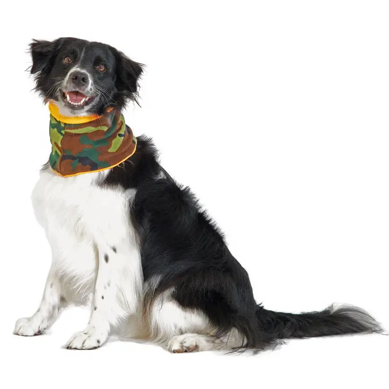 Gold Paw Dog Snood - Camo/Blaze