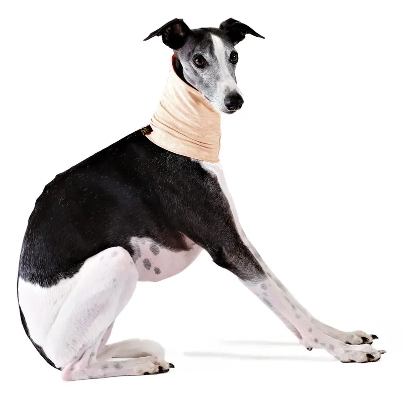 Gold Paw Sun Shield Dog Snood - Sand