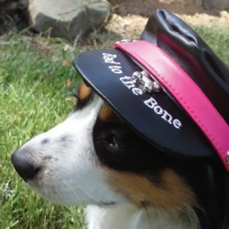 Doggles Bad to the Bone Biker Dog Hat - Black with Magenta Trim