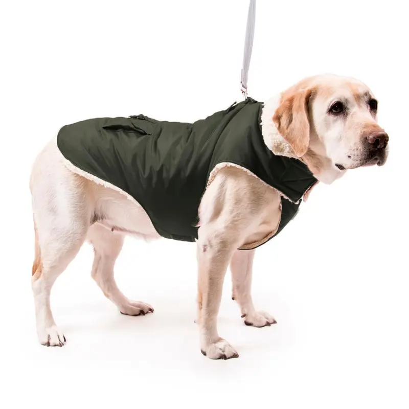 My Canine Kids Aspen Dog Parka - Charcoal 