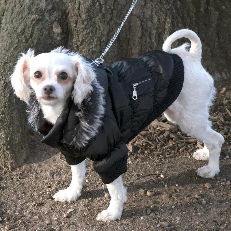 Pet Life Metallic Ski Parka Dog Coat - Black