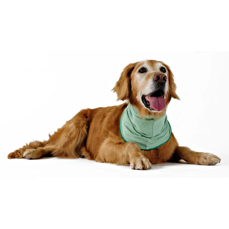 Gold Paw Sun Shield Dog Snood - Pistachio