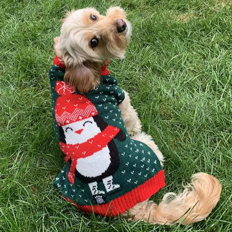 Petrageous Lucky's Penguin Dog Sweater - Green