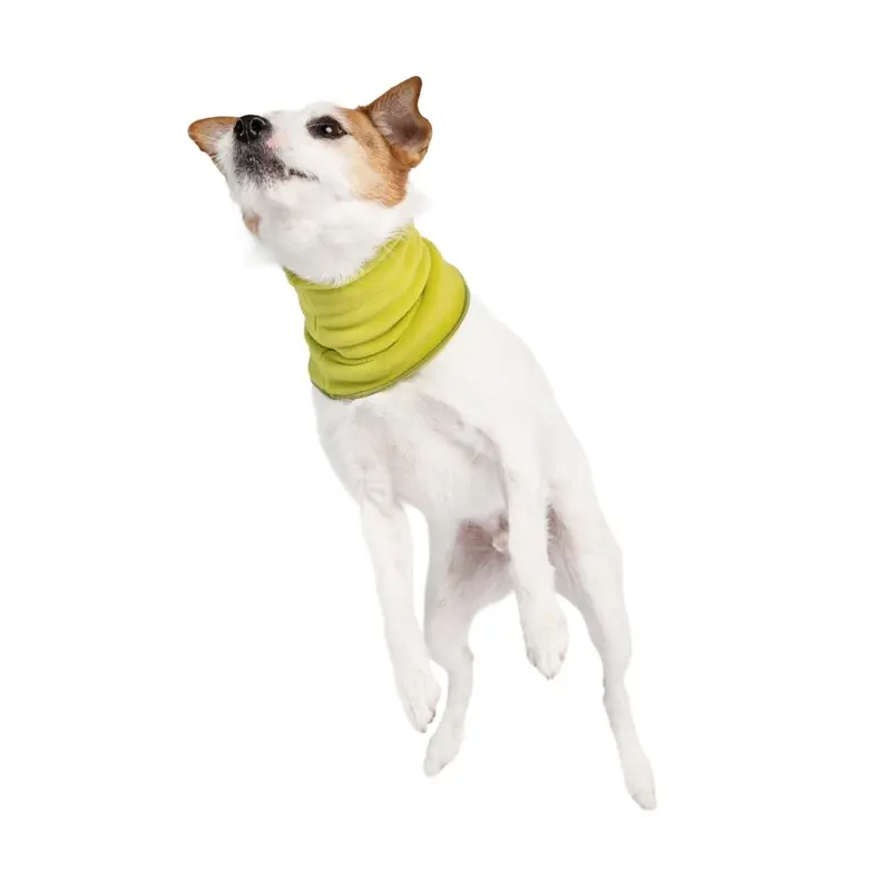 Gold Paw Dog Snood - Avocado