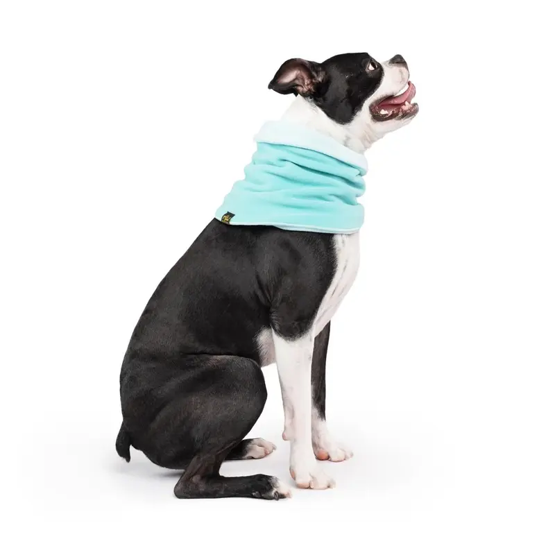 Gold Paw Dog Snood - Turquoise/Robin Egg