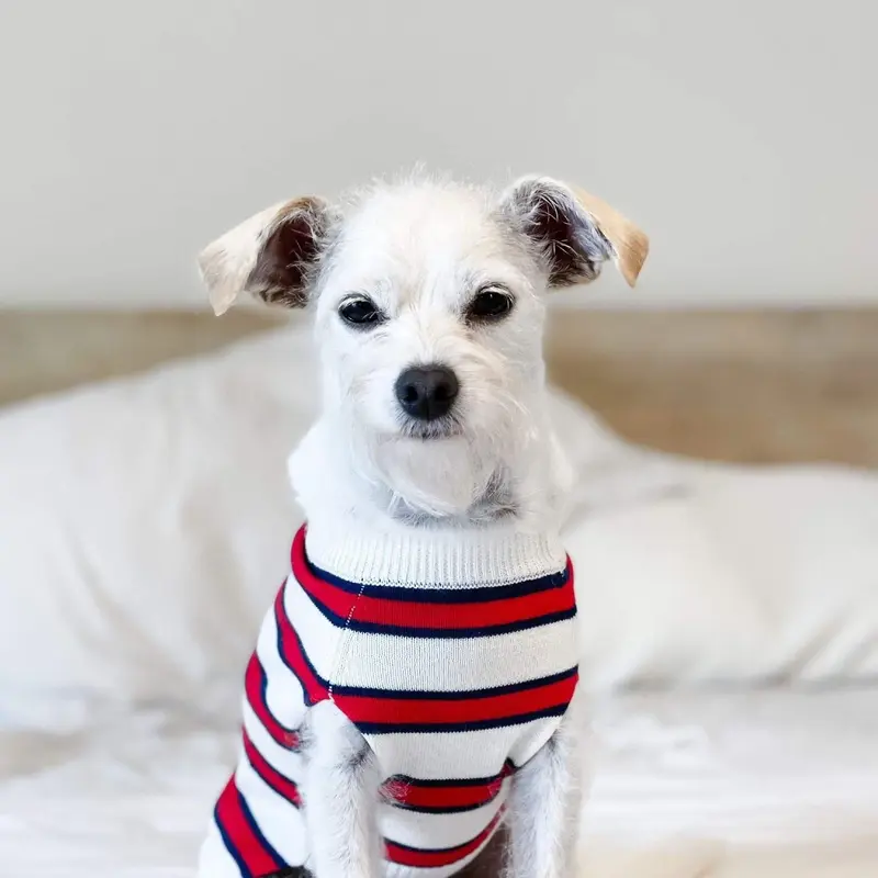 Dog Threads Rugby Dog Sweater - Red & Blue Striped