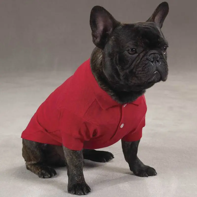 Zack & Zoey Polo Dog Shirt - Tomato Red