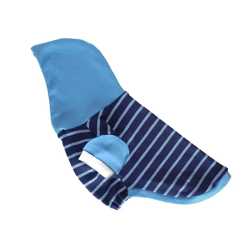 Hot Dogz Sky Wing Dog Hoodie - Blue