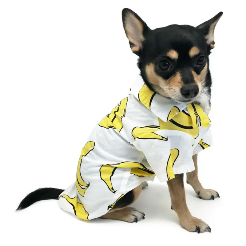 Banana Collared Dog Shirt by Dogo
