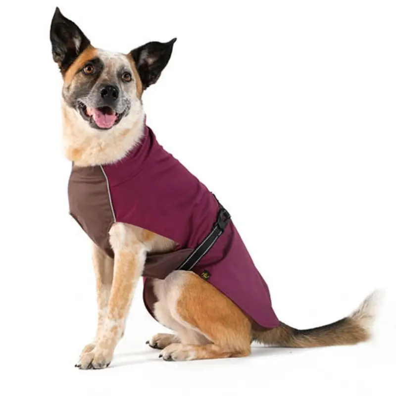 Gold Paw Rain Paw Dog Raincoat - Beetroot/Graphite