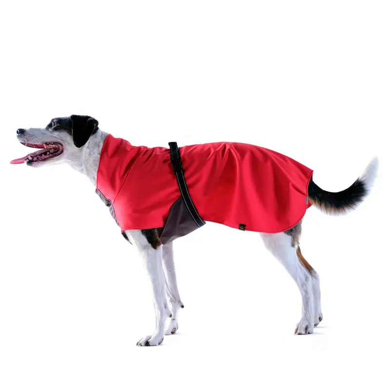 Gold Paw Rain Paw Dog Raincoat - Red/Graphite