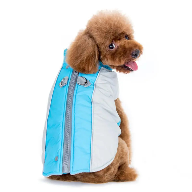 Mountain Hiker Dog Coat by Dogo - Blue