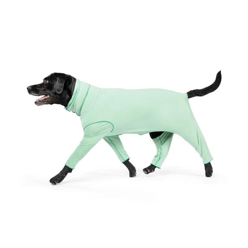 Gold Paw Sunsie Shield Dog Onesie - Pistachio