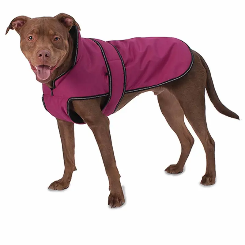 Juneau Dog Coat - Magenta