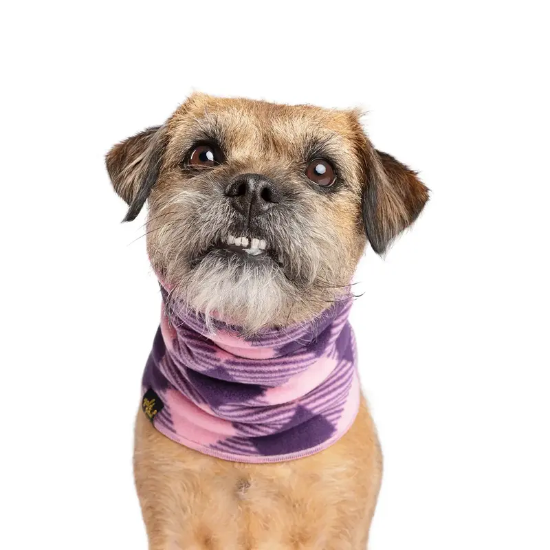 Gold Paw Dog Snood - Rose Buffalo Check/Rose