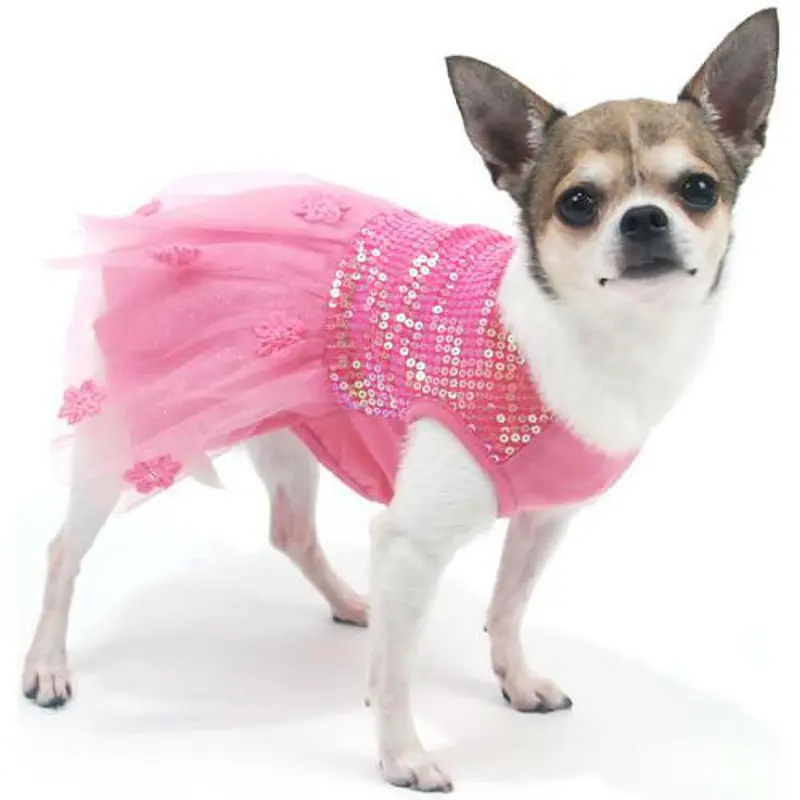 Oscar Newman Hotter Than You Pink Dog Dress