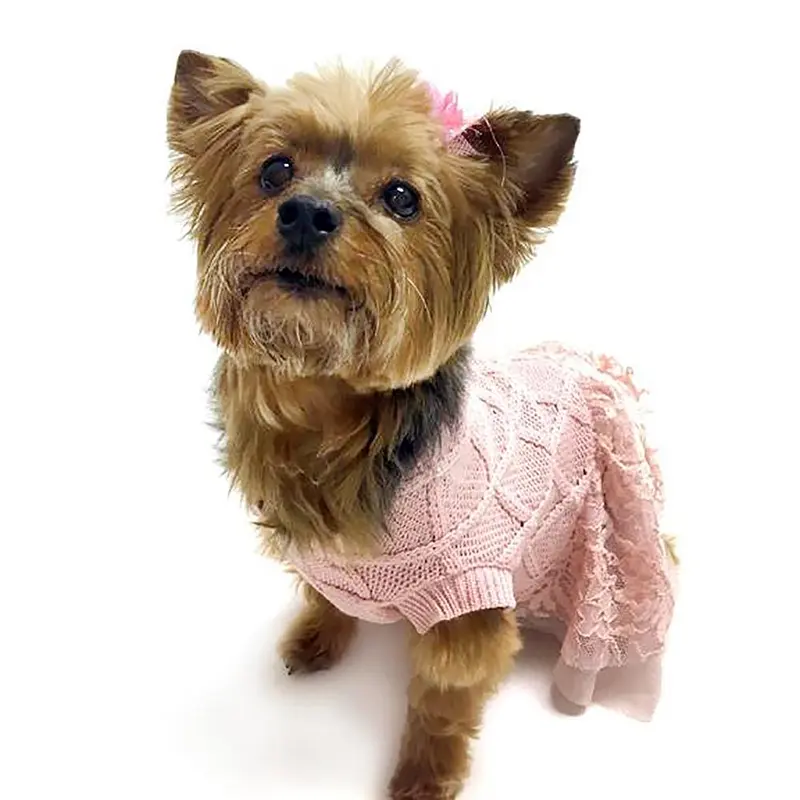 Oscar Newman Pearls of Paradise Sweater Dress - Pink