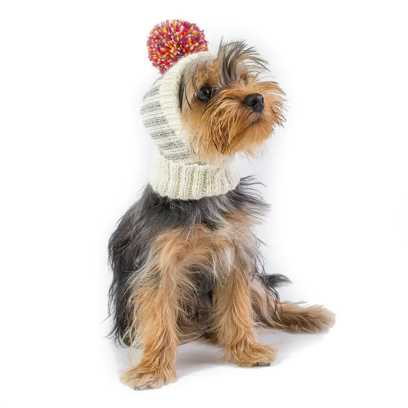 Alqo Wasi Rainbow Alpaca Dog Hat