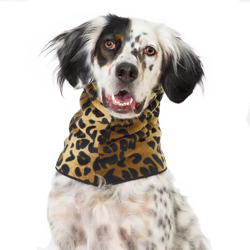 Gold Paw Dog Snood - Leopard