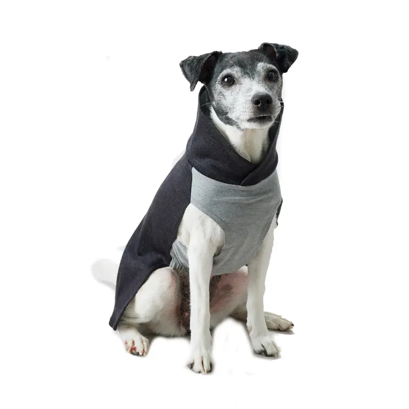 PAIKKA Recovery Winter Dog Shirt - Gray
