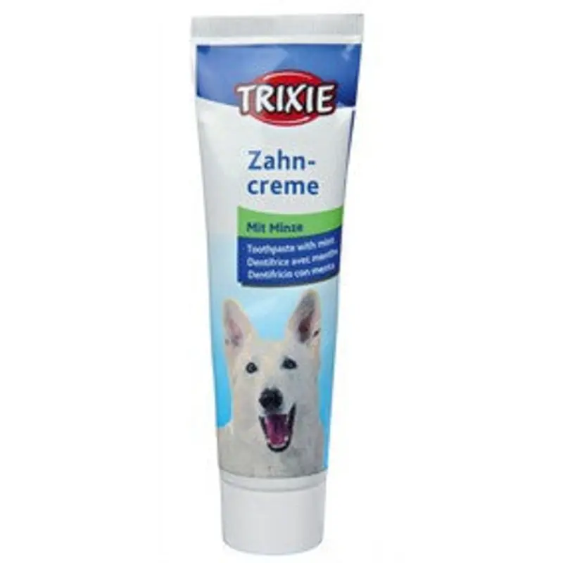 Toothpaste with Mint