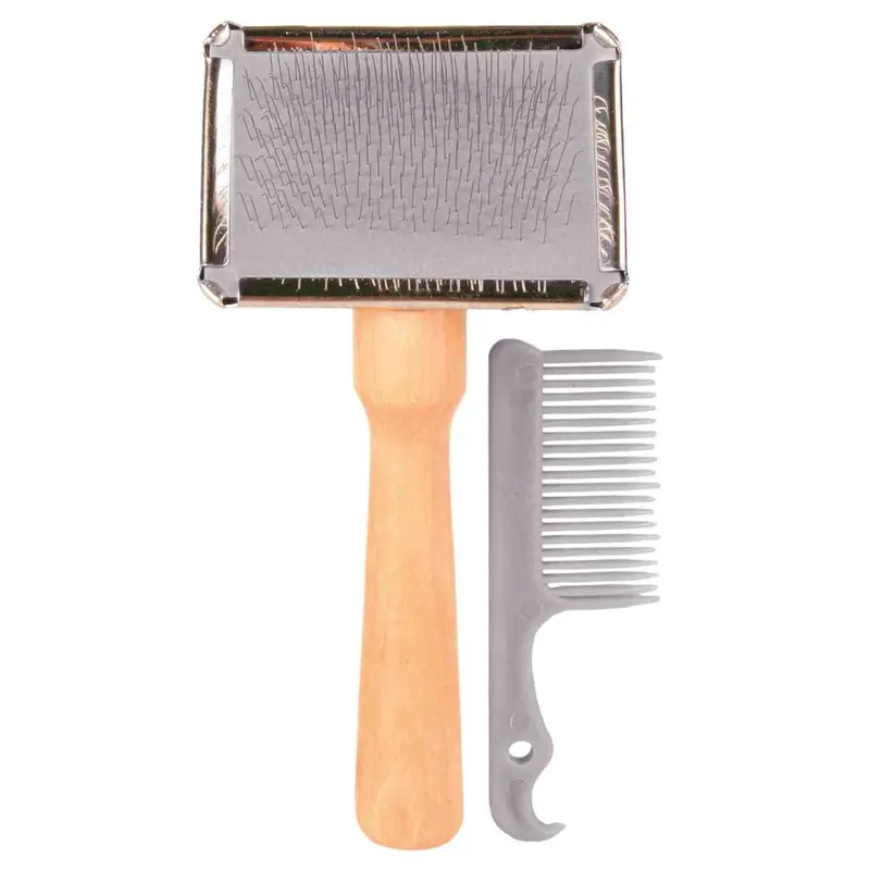 Soft Brush With Brush Cleaner
