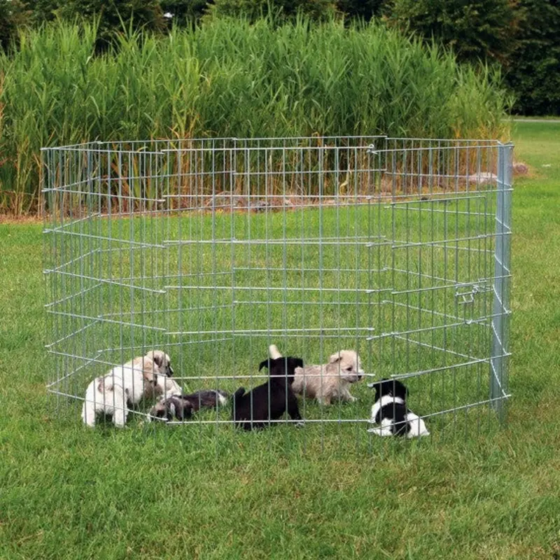 Run for small dogs