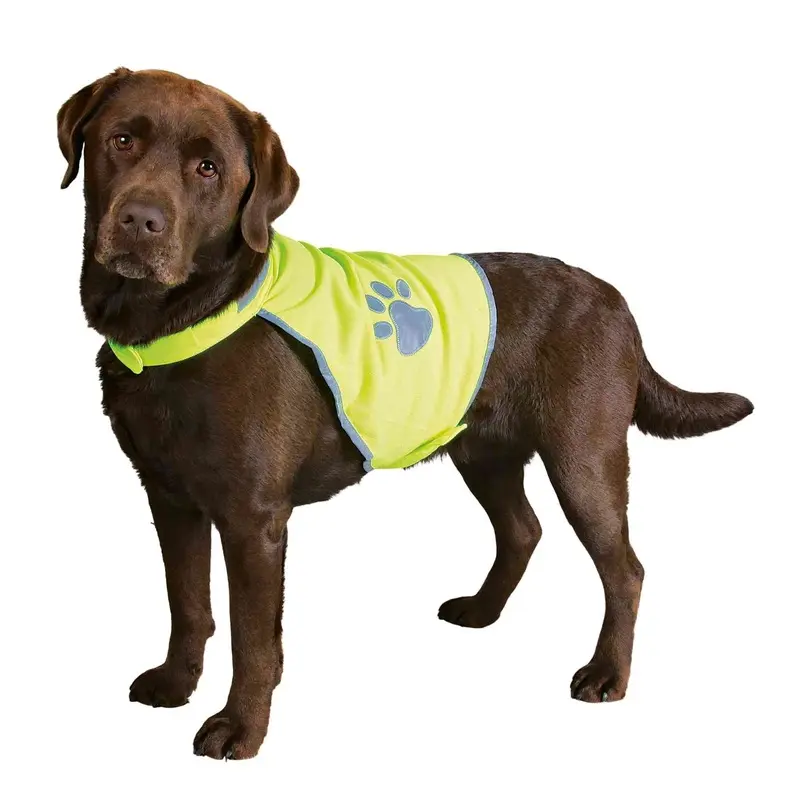 Safety Vest