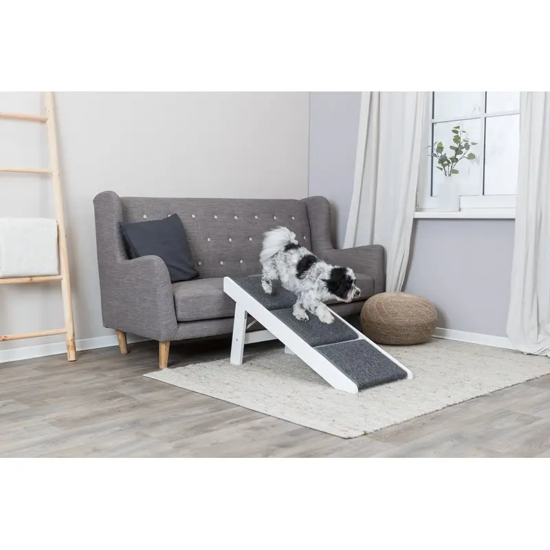 Ramp with folding steps