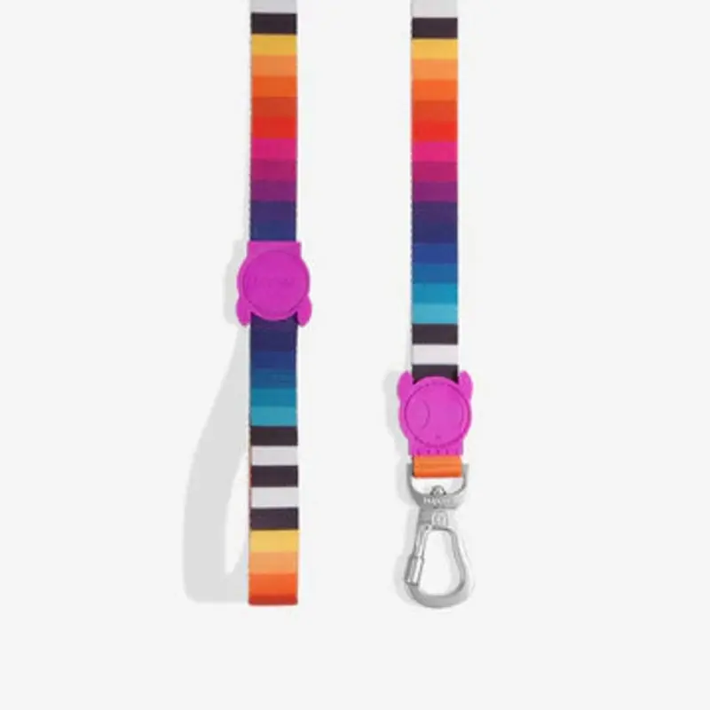 Prisma - Zeedog Leash