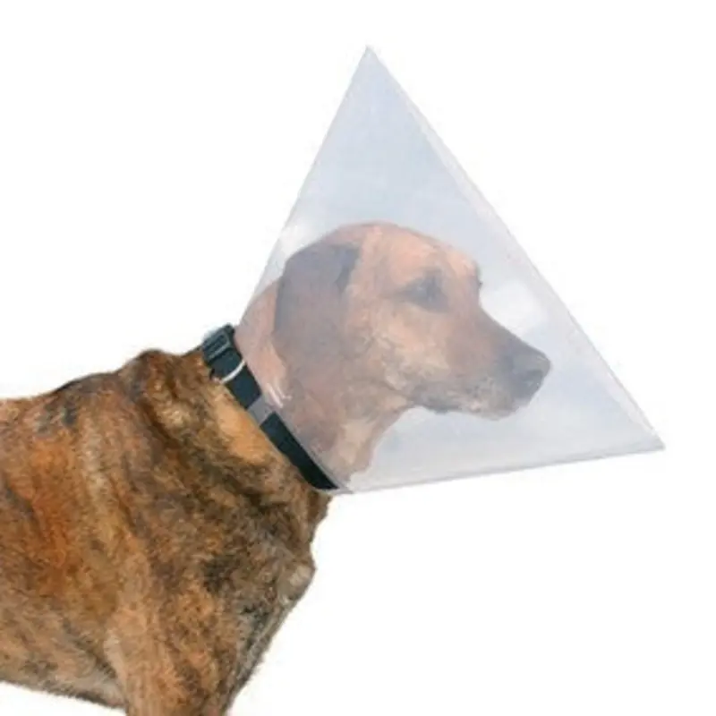 Protective Collar