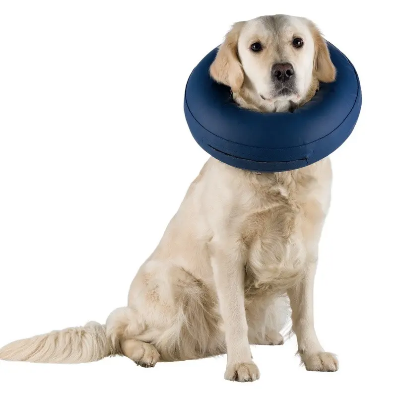 Protective collar, inflatable