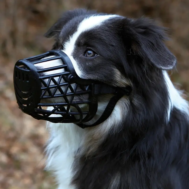 Muzzle, Plastic