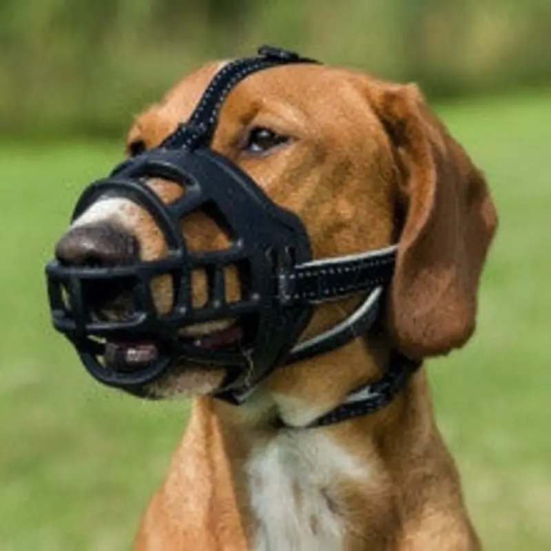 Muzzle Flex Muzzle, Silicone, black
