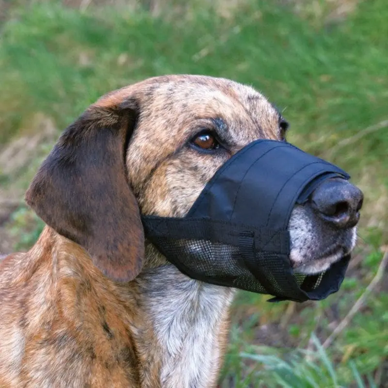 Muzzle with net insert, polyester