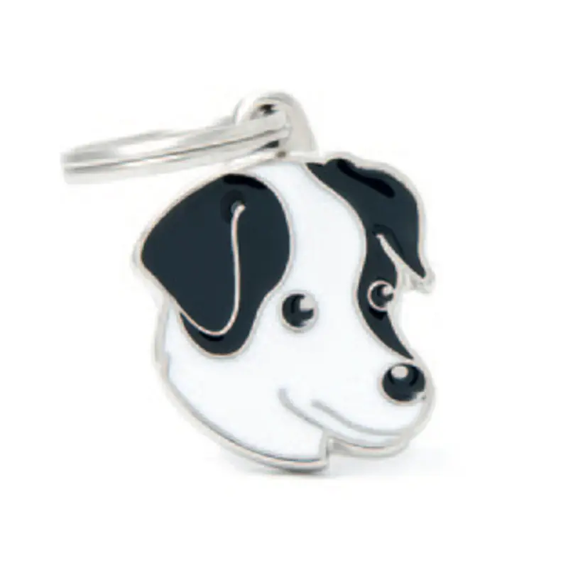 Jack Russell (black & White)