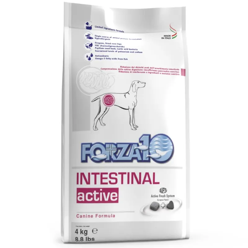 Forza 10 Nutraceutical - Intestinal