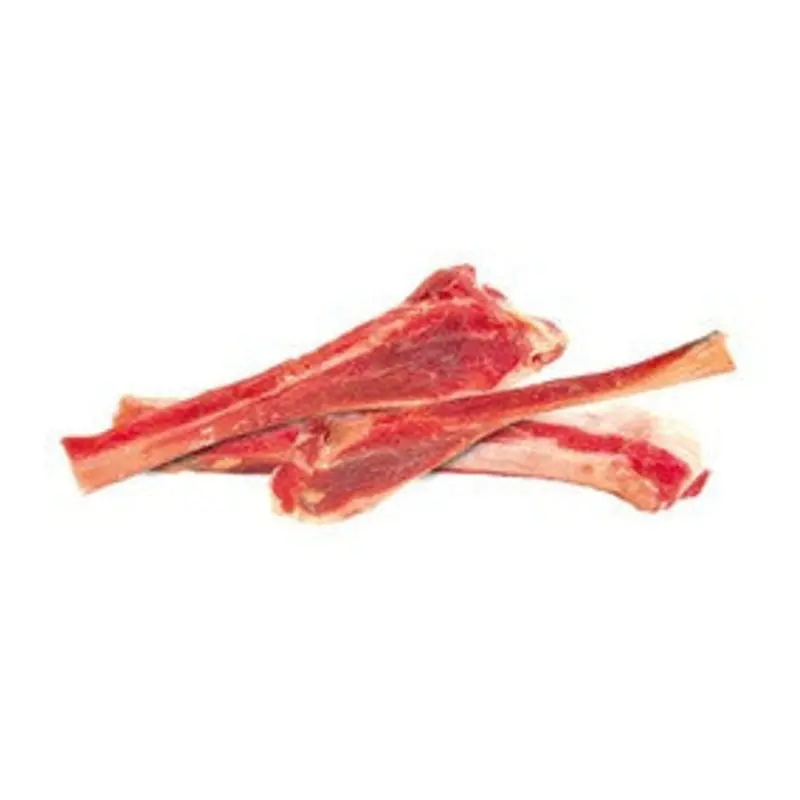 Fibula Bones