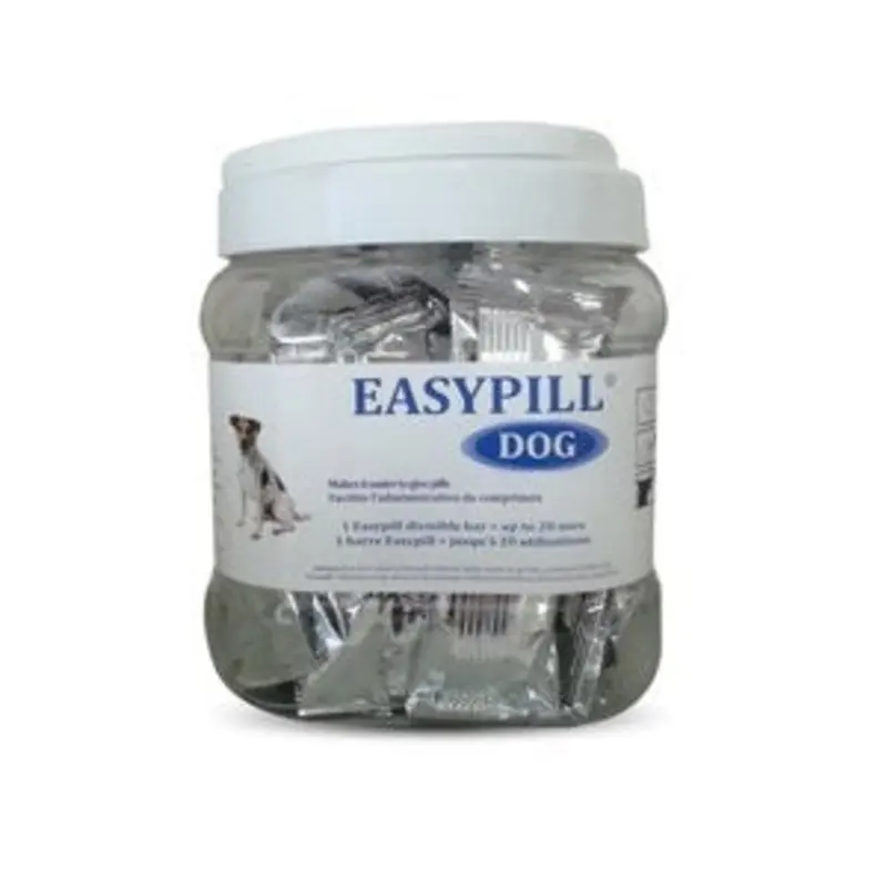 Easy Pill (dog)