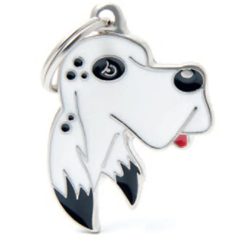 English Setter