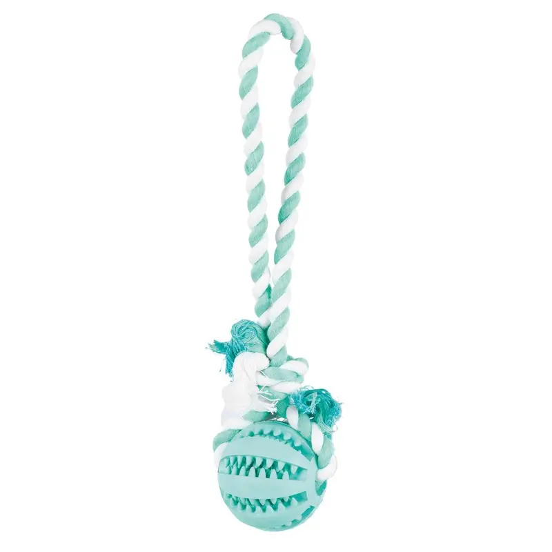 Denta Fun Ball on a Rope