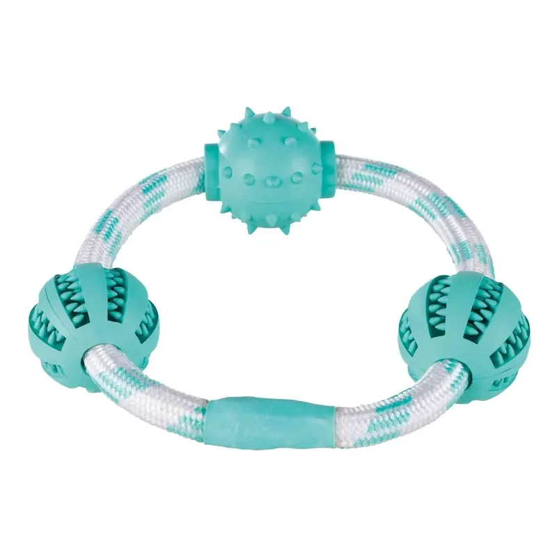 Denta Fun Playing Rope Ring with Balls