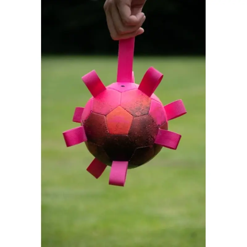 Dog Comets Hypernova Ball