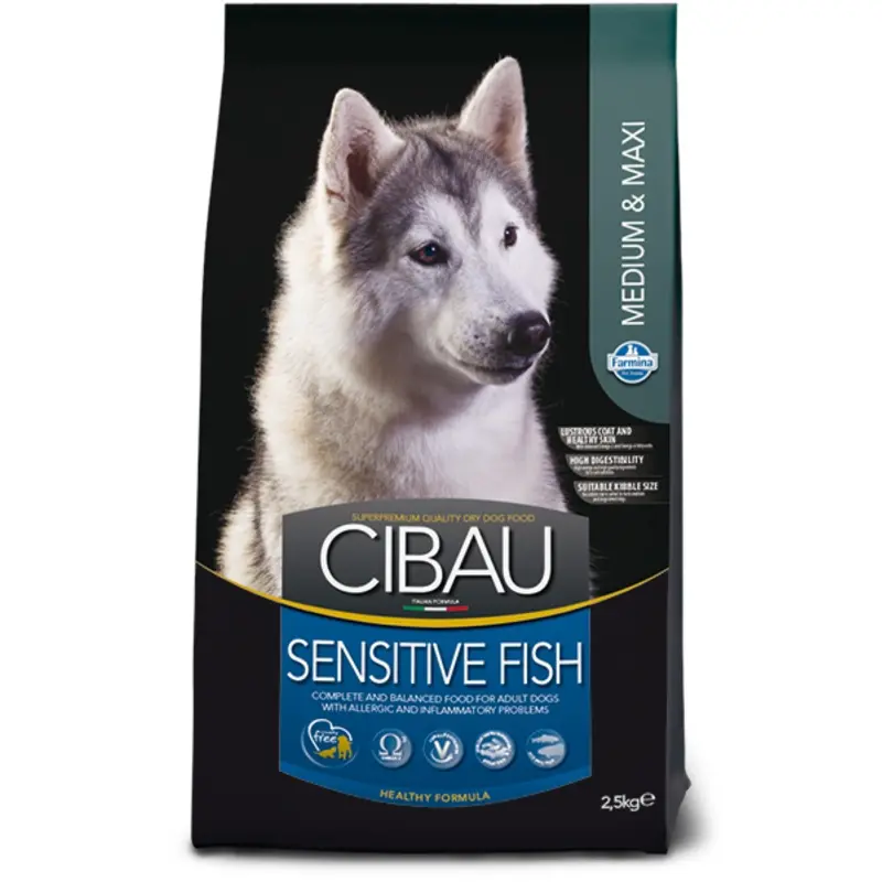 Cibau - Adult Fish