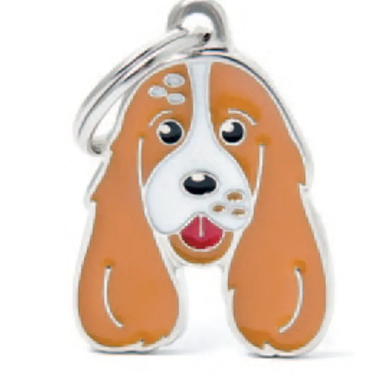 Cocker Spaniel (Red & White)